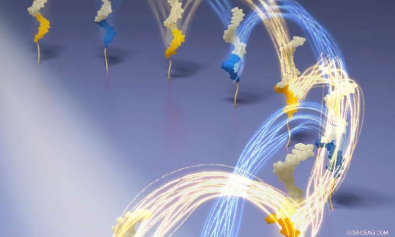 DNA Nanomachines Accelerate: Breaking Speed Records with Rapid Strand Displacement