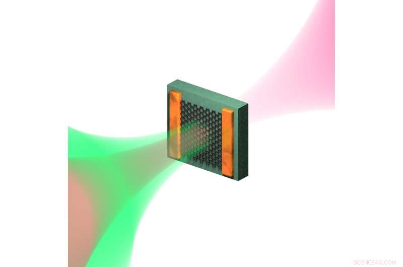 Solving the Photoexcited Graphene Puzzle: New Insights into Ultrafast Carrier Dynamics