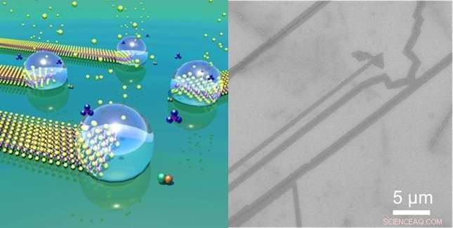 Accelerated Nano‑Droplet Growth Creates High‑Quality Molybdenum Disulfide Nanoribbons