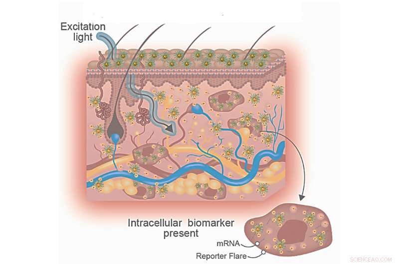 Revolutionizing Skin Disease Diagnosis with Topical Nanotechnology
