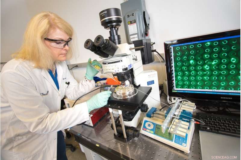 Revolutionary Blood Test Detects Pancreatic Cancer Early and Quickly