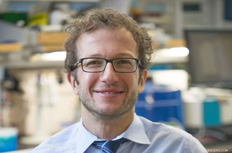 New Molecular Discovery Revolutionizes Nano‑Channel Drug Delivery Design