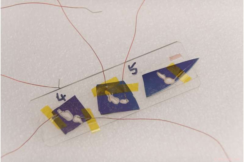 Discovering Tellurene: A Rare Element Paving the Way for Ultra-Fast Electronics