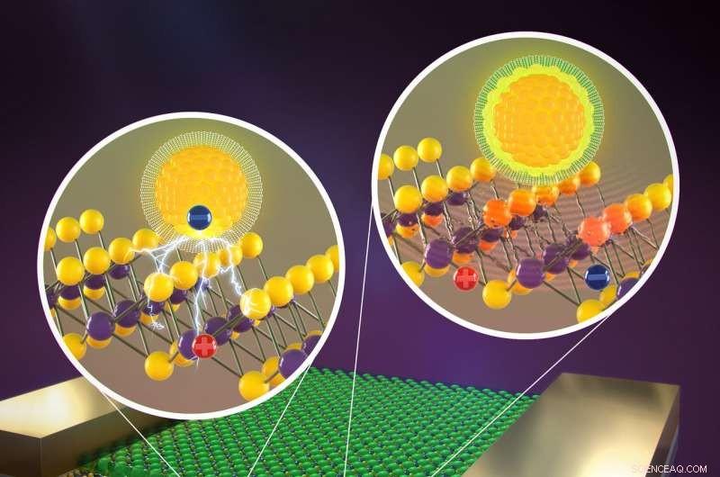 How Atomically Thin Nanomaterials Convert Light into Electrical Current: A Comprehensive Overview