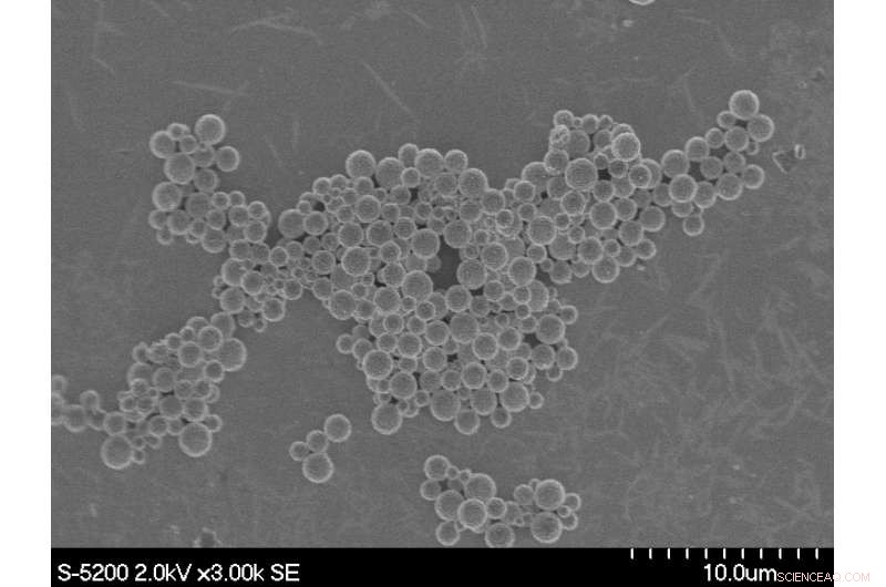 Detergent Boost Enhances Catalytic Compound Performance