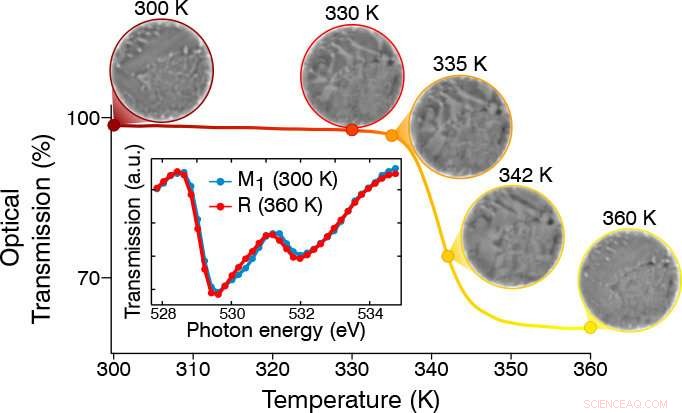 Nanoscale Insulator–Metal Transition: Controlling Electron Flow in VO₂