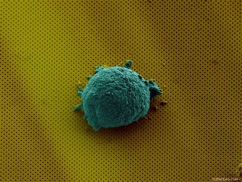 Cell Chat: Decoding Cellular Communication to Combat Disease