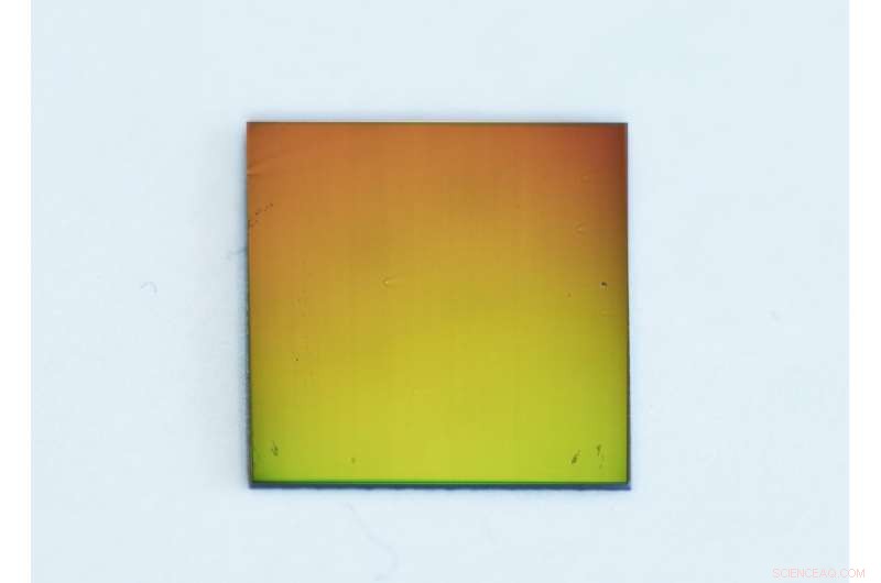 Cell Chat: Decoding Cellular Communication to Combat Disease