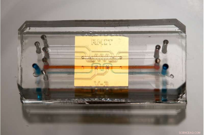 Cell Chat: Decoding Cellular Communication to Combat Disease