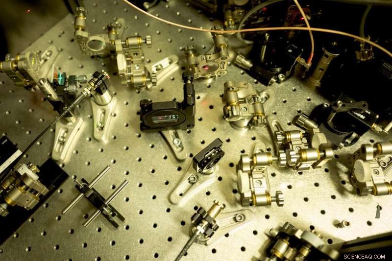 Simultaneous Surface Imaging and Protein Mapping in Live Cells