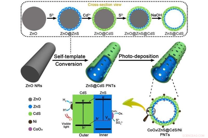 Advanced Double‑Layered Porous Nanotubes with Spatially Separated Photoredox Surfaces for Solar Energy Conversion