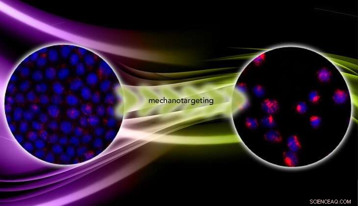 Advanced Targeting Strategy Promises Enhanced Cancer Drug Delivery