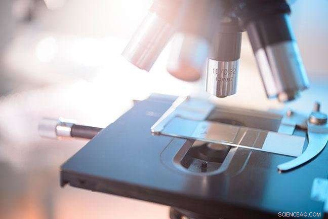 Harnessing Silicon Nanoparticles to Combat Bacterial Infections