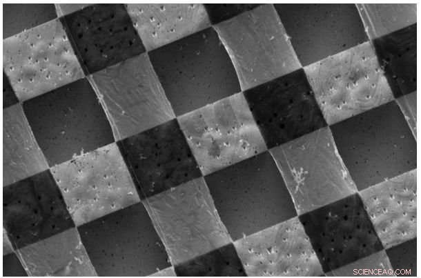 Graphene Carpets Enhance Neural Communication Through Ion Trapping