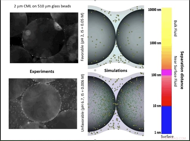 Nanostructured Enhancements in Nature s Subsurface Water Filters