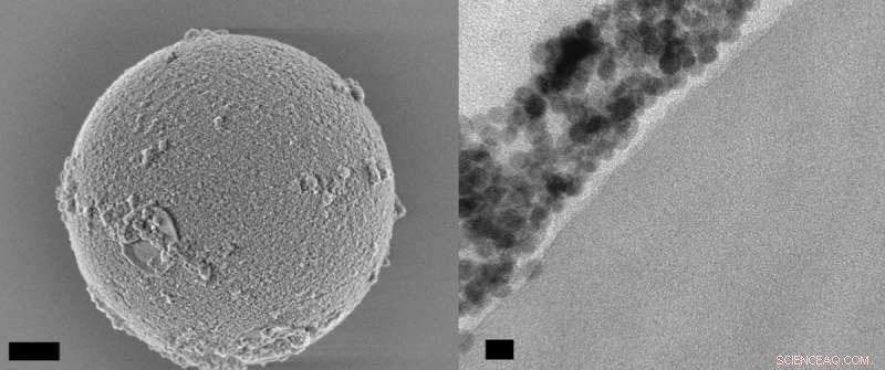 Researchers Develop Continuous‑Emission Microlasers Using Nanoparticle‑Coated Polystyrene Beads