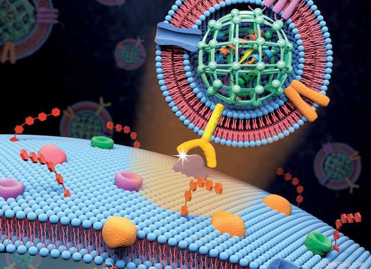 Biomimetic Nanoparticles Enable Targeted Delivery of Therapeutic Proteins to Cancer Cells