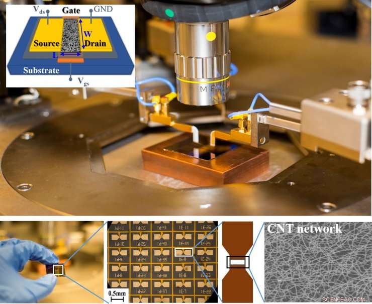 Research Unveils Path to More Reliable Carbon-Based Microelectronics