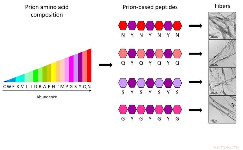 Engineered Minimalist Biostructures for Advanced Nanomaterial Synthesis