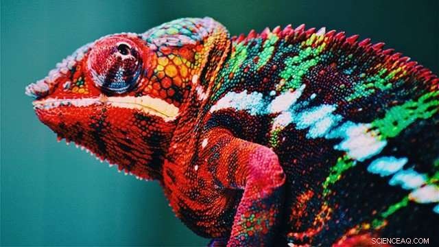Chameleon-Inspired Nanolaser Dynamically Shifts Colors