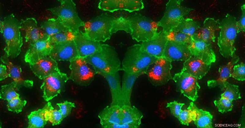 Gene Regulation: Illuminating New Paths for Precision Cancer Therapy