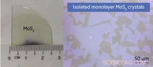 Revolutionizing 2‑D MoS₂: No Barriers to Innovative Applications