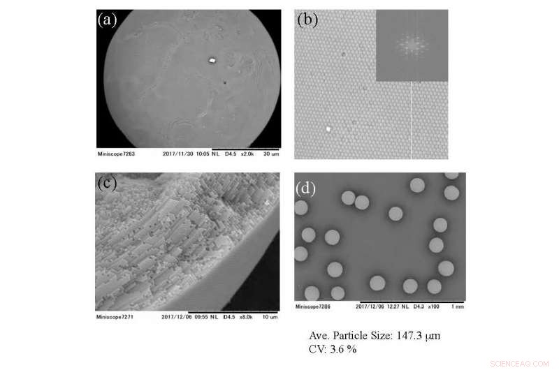 New Bioinspired Material Mimics Living Organisms’ Color Shifts