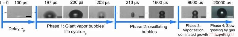 Gold Nanoparticles Generate Massive Explosive Bubbles Under Laser Illumination