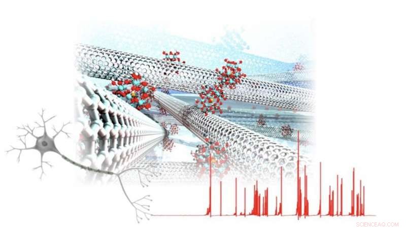 Nanomaterials Replicate Key Brain Functions, Opening New Frontiers