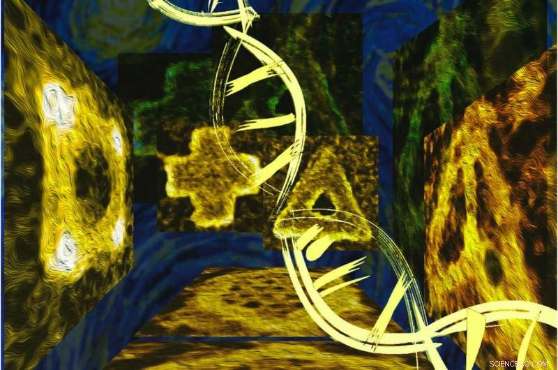 Unicellular Architects: Pioneering Nanotechnology with Diatom-Inspired Silica Structures