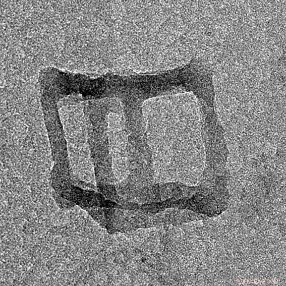 Unicellular Architects: Pioneering Nanotechnology with Diatom-Inspired Silica Structures