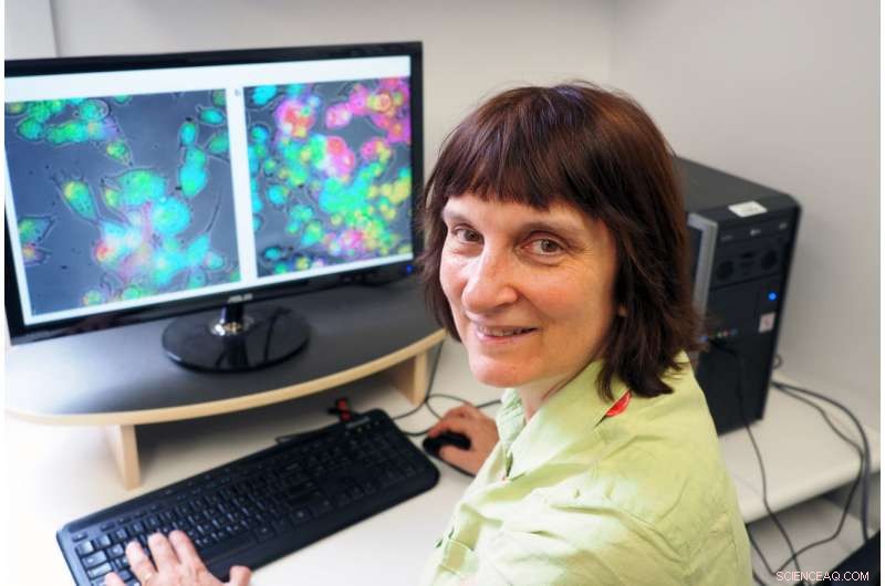 X‑Ray Activated Nanobubbles: A Novel Targeted Cancer Therapy