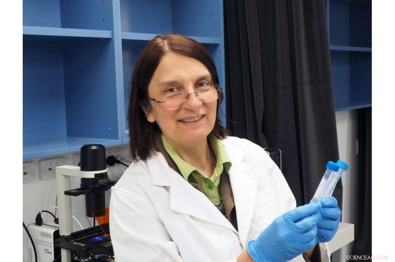 X‑Ray Activated Nanobubbles: A Novel Targeted Cancer Therapy