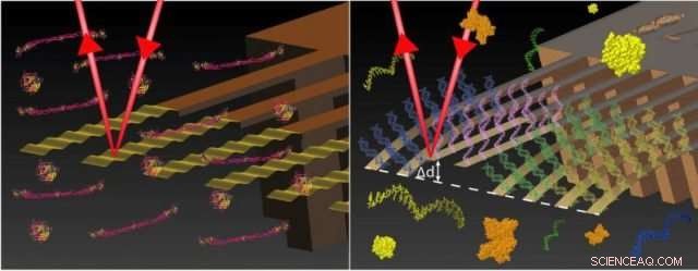Revolutionary Nanotech Test Detects Cancer and Thrombosis Risk from a Single Drop of Blood