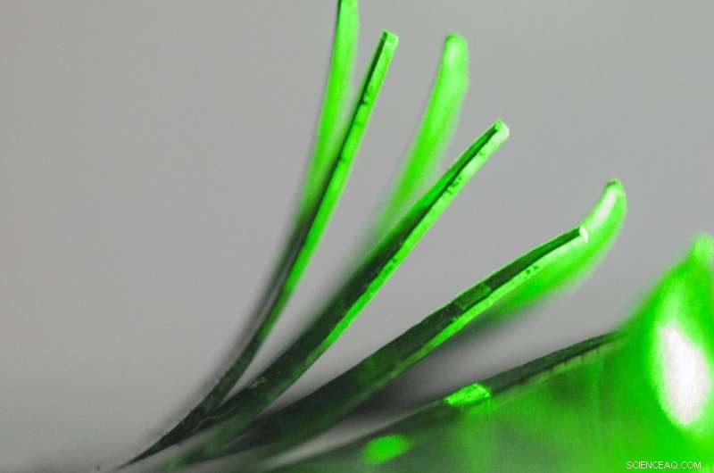 Tufts Engineers Create Light-Responsive Magnetic Elastomeric Composites