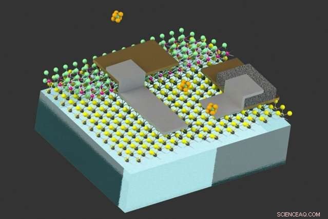 Tiny Cell-Sized Robots Now Capable of Environmental Sensing