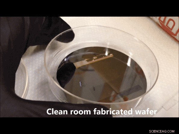 Tiny Cell-Sized Robots Now Capable of Environmental Sensing