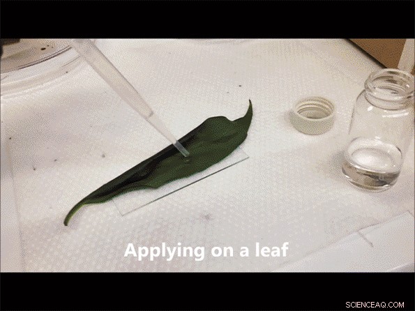 Tiny Cell-Sized Robots Now Capable of Environmental Sensing