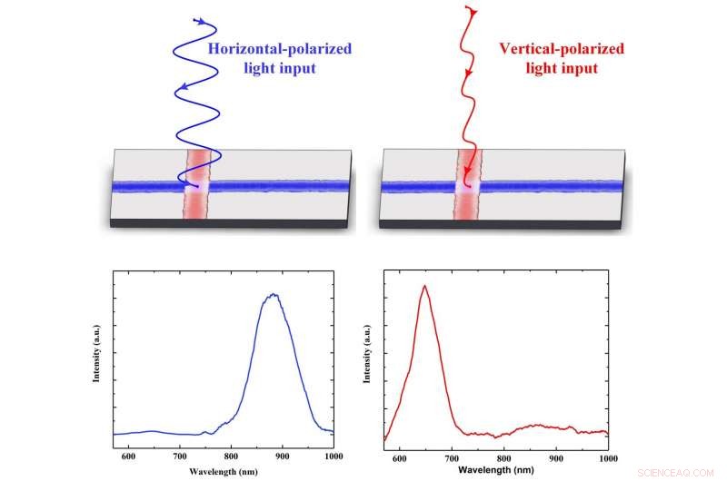 Nanowire-Based All-Optical Logic Gates: Advancing Ultra-Fast Photonic Computing