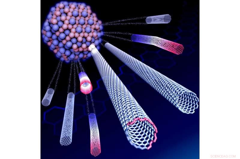Researchers Reveal Catalyst Mechanism Producing Near‑Pure Single‑Walled Nanotubes