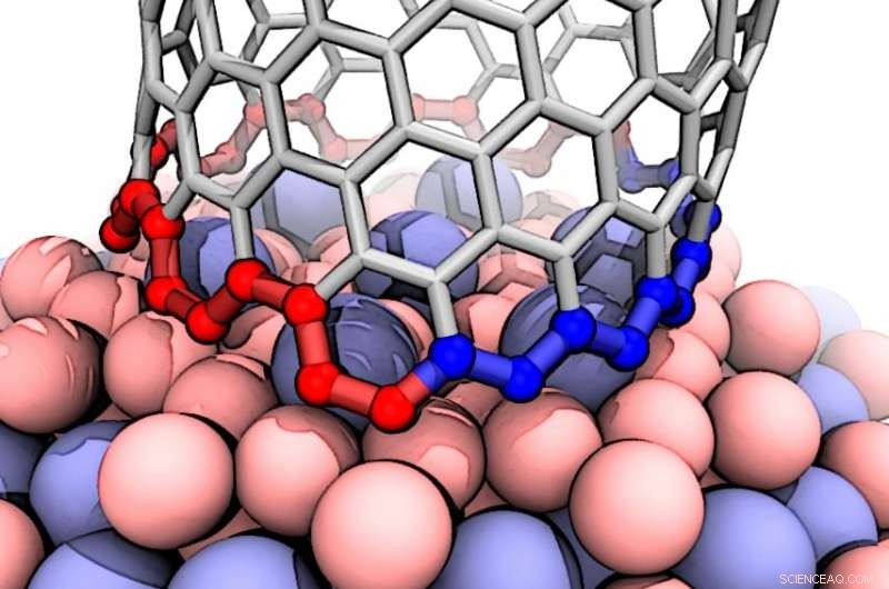 Researchers Reveal Catalyst Mechanism Producing Near‑Pure Single‑Walled Nanotubes