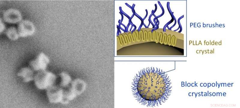 Crystalsome Nanoparticles Demonstrate Extended Circulation Time in Bloodstream