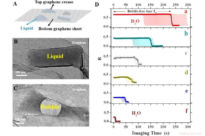 Graphene Pockets Protect Molecular Samples from Electron Beam Damage