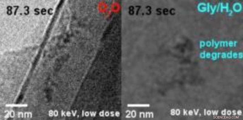 Graphene Pockets Protect Molecular Samples from Electron Beam Damage