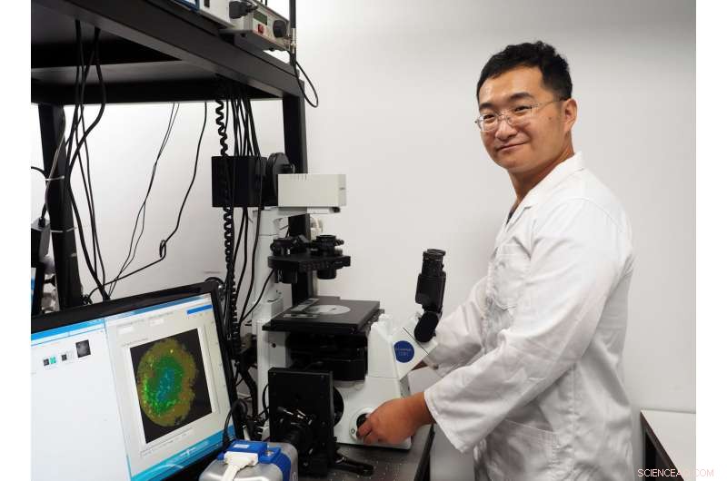 Advanced Nanoparticles Enable Early Detection of Deep-Tissue Cancers