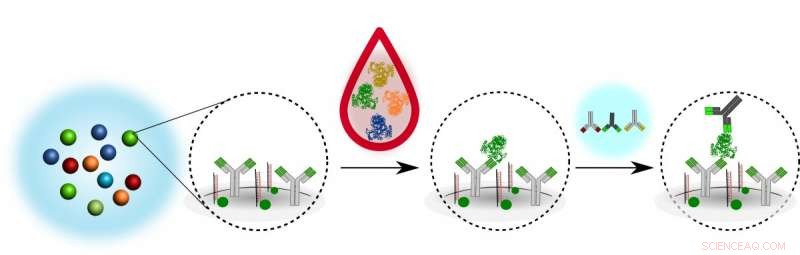 McGill Innovation Detects Hundreds of Proteins in One Sample, Revolutionizing Diagnostics