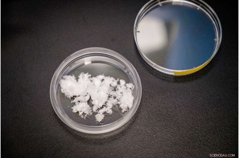 Nanofiber Breakthrough: Scientists Reveal Fat-Blocking Effect