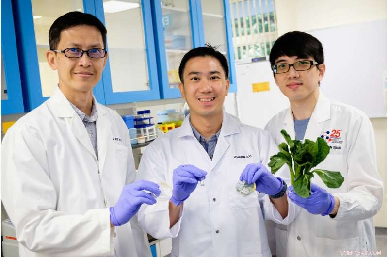 Nanofiber Breakthrough: Scientists Reveal Fat-Blocking Effect