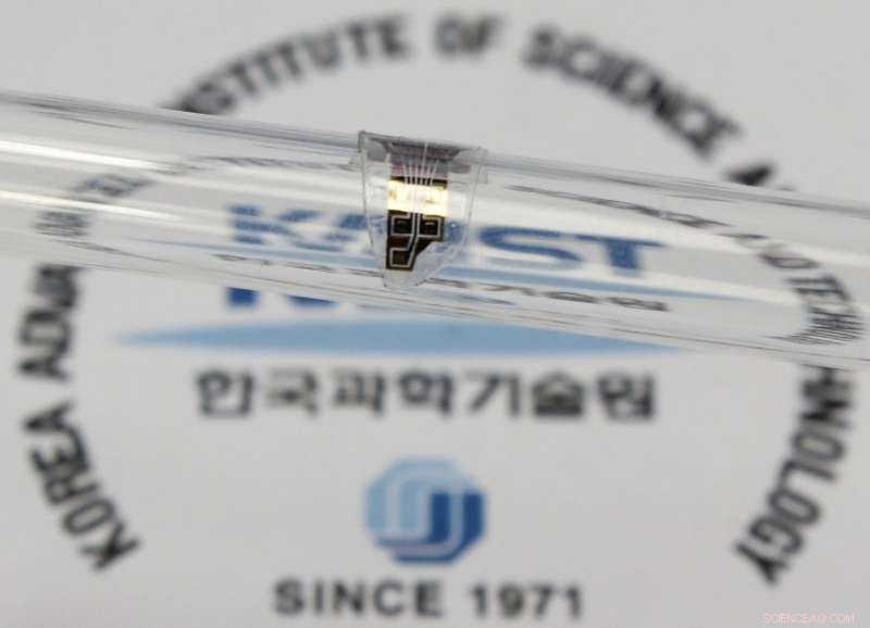 Innovative Flexible Drug Delivery Microdevice Boosts Precision Medicine