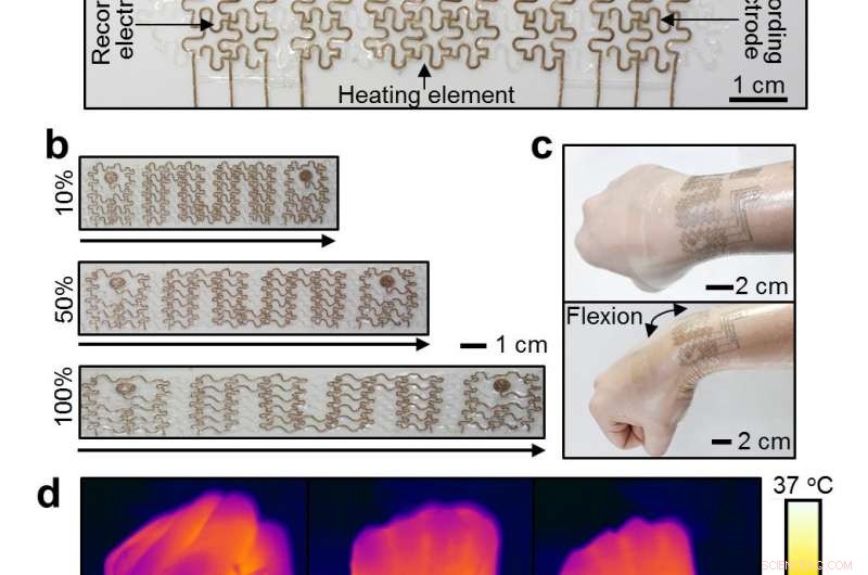 Soft Bioelectronic Mesh Proves Effective on Human Wrist and Swine Heart: A Breakthrough in Wearable Health Tech